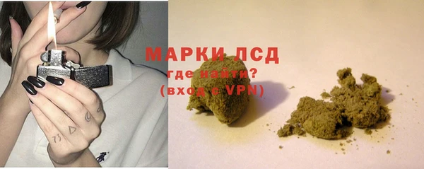 шишки Магадан