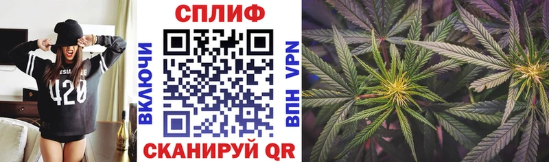 Канабис Bruce Banner  Купить закладки  Протвино 